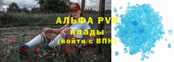 трава Балахна