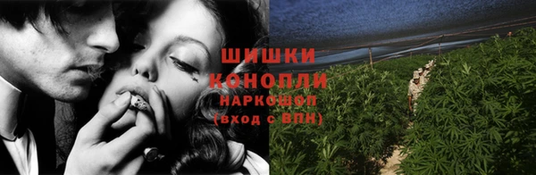 гидропоника Белоозёрский